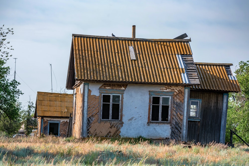 Diagnostic mérule dans les plans de rénovation immobilière : Un enjeu crucial à considérer